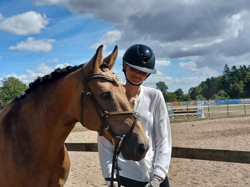 Bild av Fantastisk fälttävlansponny