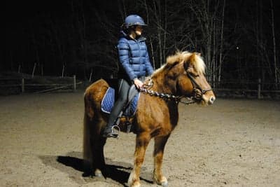 Inlägg 22 av Islandshäst med titeln Nyårsbilder 🤍💐