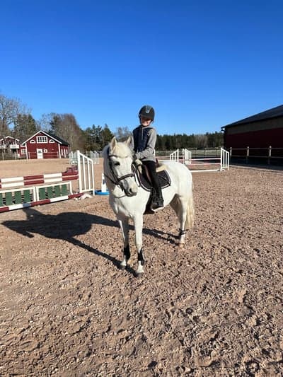 Inlägg 6 av Connemara med titeln Vi får hem finaste Lilsi