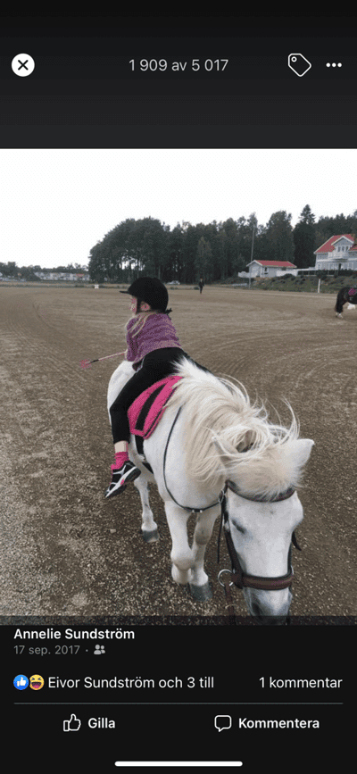 Inlägg 24 av Allround med titeln Nytt stall 