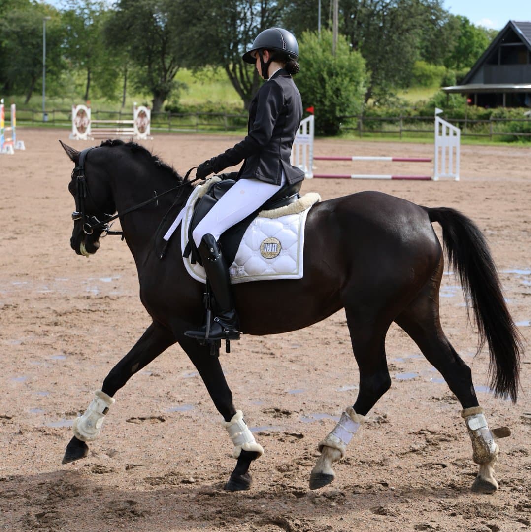 Bild 1 av Diggaloss (Frida)