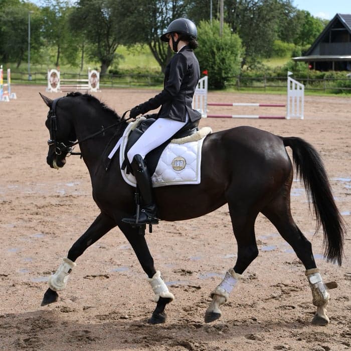 Media 1 av Diggaloss (Frida)