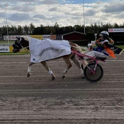 Inlägg 62 av Trav med titeln Seger Oskar Kylin Bloms Lopp Gävle