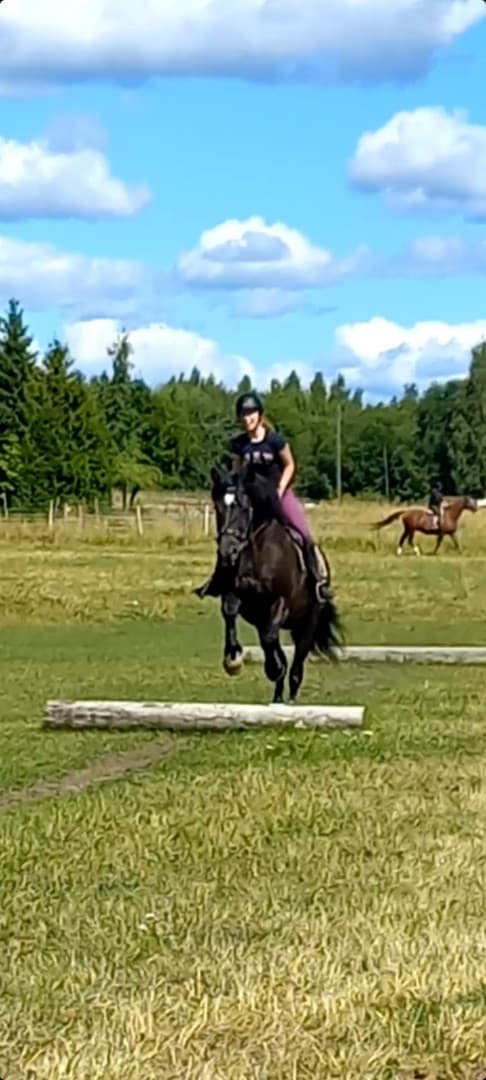 Media 1 av Dunhalls julius