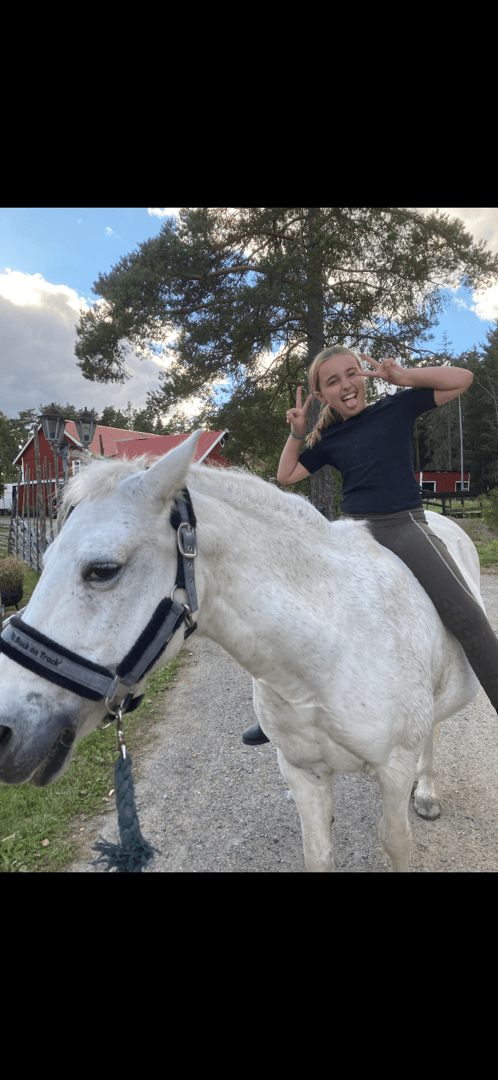 Media 1 av Zera