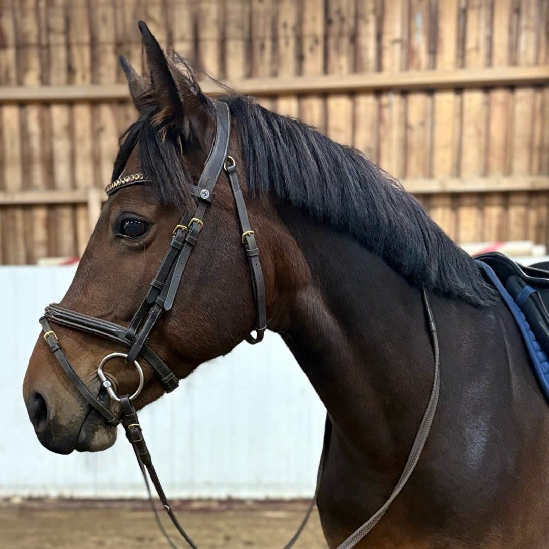 Image 1 of Munsboro Connery