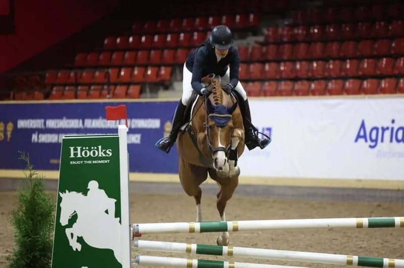 Bild 3 av Hjälp med försäljning/förmedling av din häst