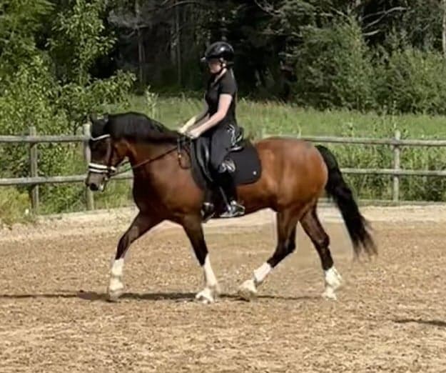 Media 7 av Fiffiluras Flashjack