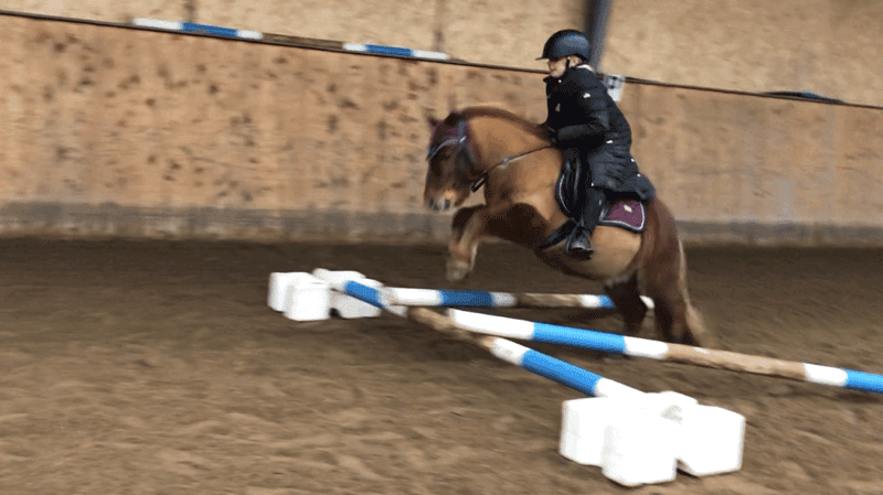 Image 3 of Dalsgårds Ideal