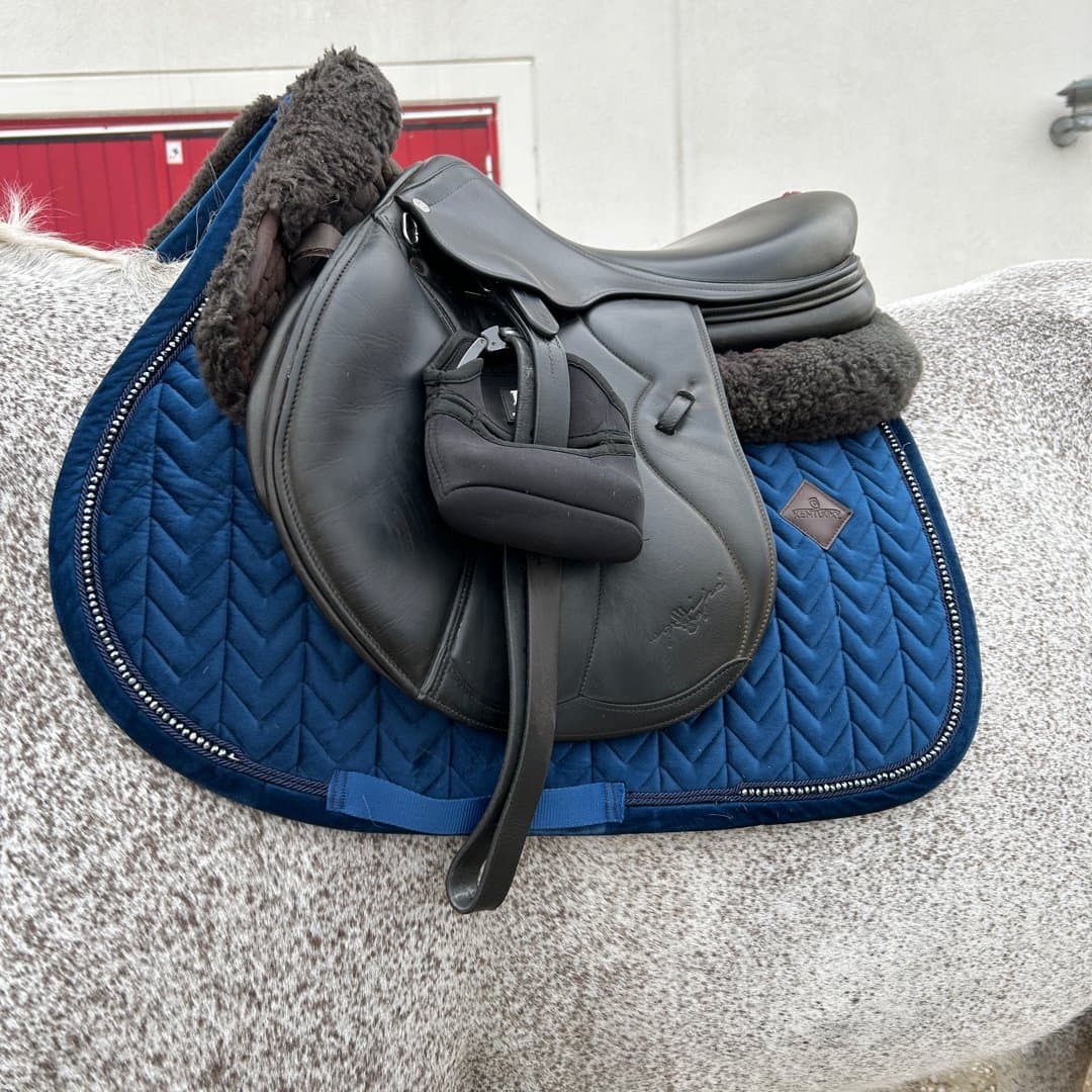 Bild 1 av Mörkblått schabrak från Kentucky