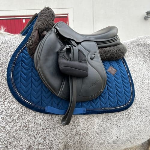 Bild av Mörkblått schabrak från Kentucky