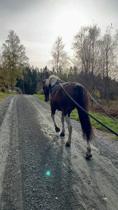 Inlägg 4 av Allround