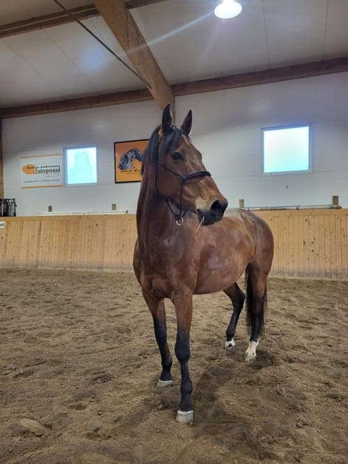 Bild av Rolig och personlig herre💎