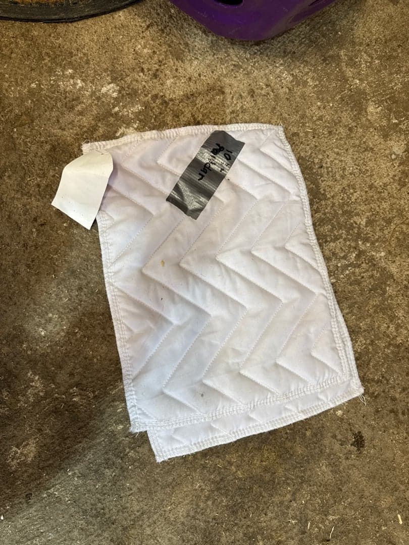 Bild 1 av Vita paddar