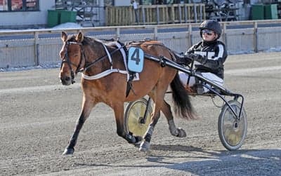 Inlägg 7 av Ponnytrav med titeln Uppfödning 