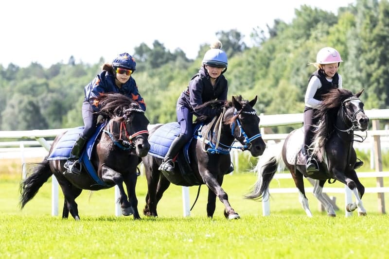 Bild 3 av Prova galoppträning med din ponny på Göteborg Galopp!