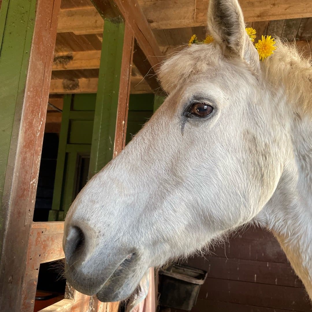 Image 1 of Roys Revenge