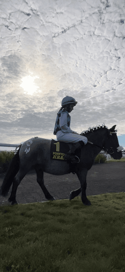 Inlägg 86 av Galopp med titeln Lo