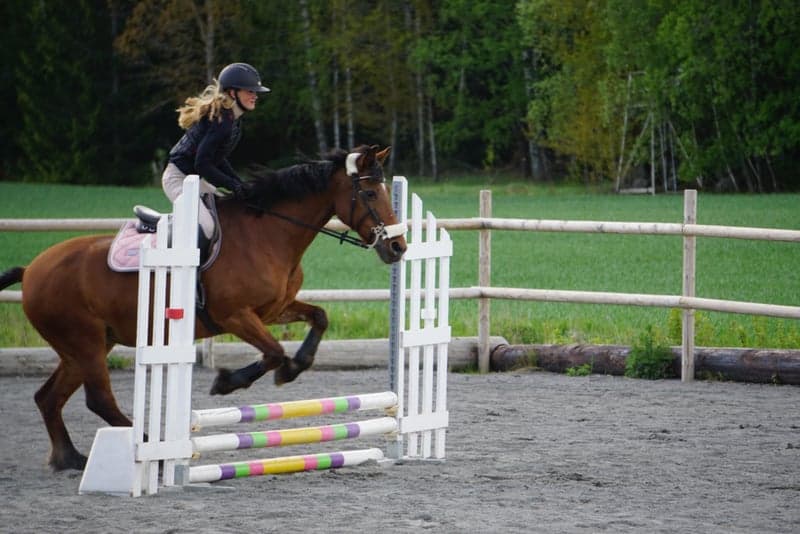 Bild 2 av amber