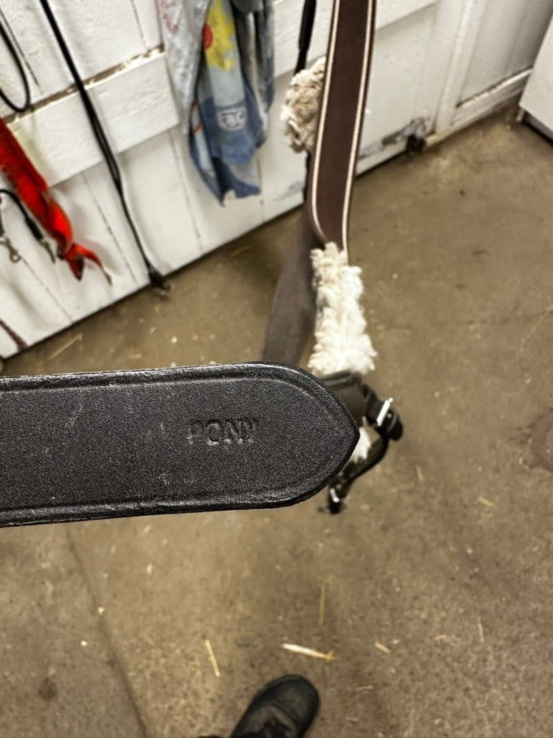 Bild 2 av Brun förbygel, ponny