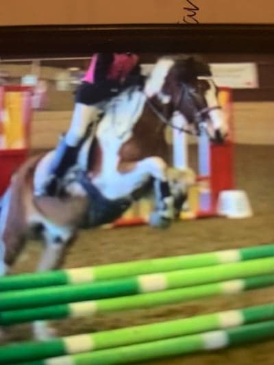 Inlägg 3 av Showridning med titeln Hej detta är Apache 