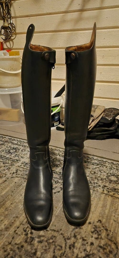 Bild 3 av Dressyrstövel Petrie 