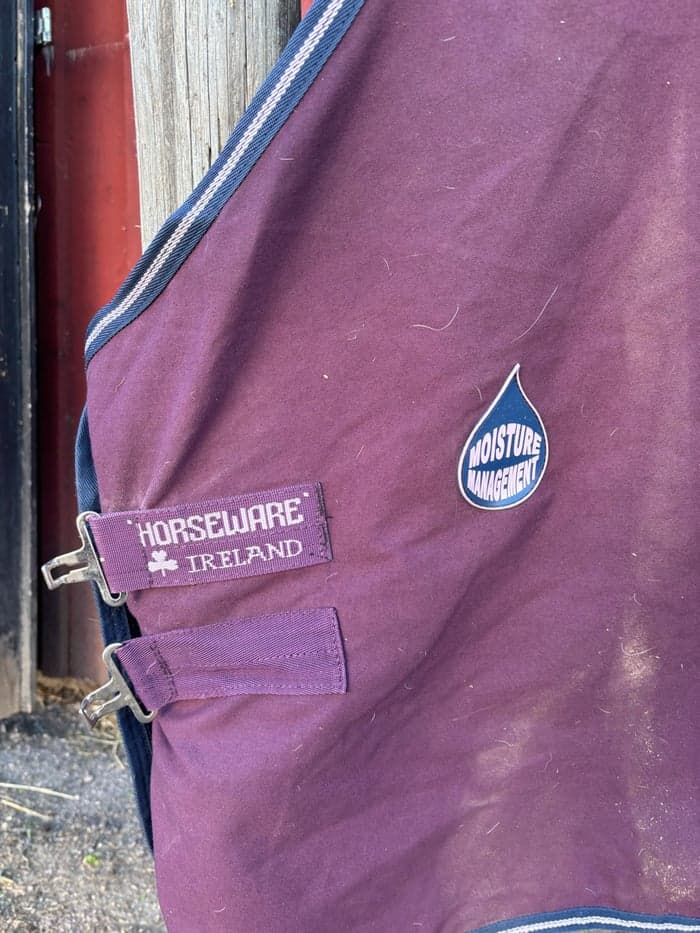 Media 2 av Stall täcke horsewere 