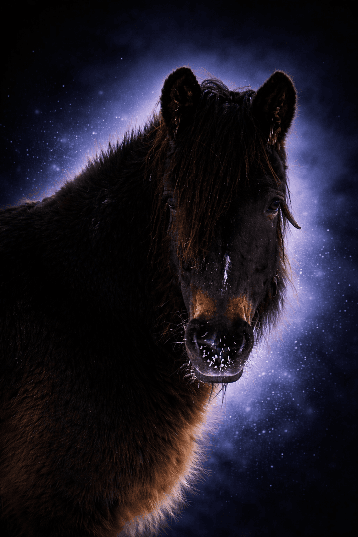 Bild 1 av Mitt Hjärtas Lilja