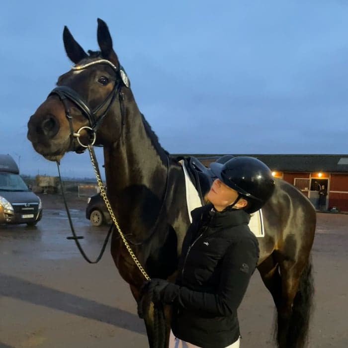 Media 1 av My Romance NL