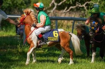Inlägg 70 av Galopp med titeln Emerald - Siri Karlberg