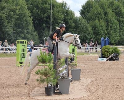 Inlägg 96 av Allround