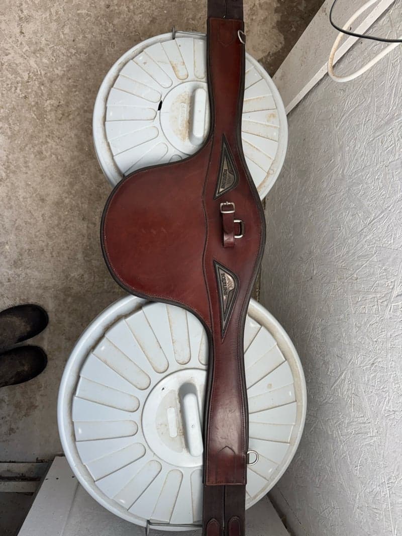 Bild 2 av Brun sadelgjord från Equiline