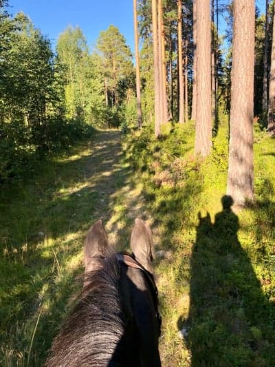 Inlägg 104 av Allround