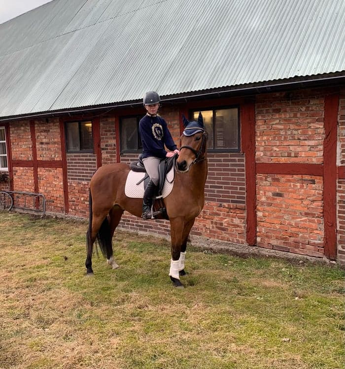 Media 2 av Stenninge Smokey