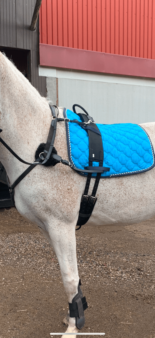 Bild 2 av Svart barbackagjord