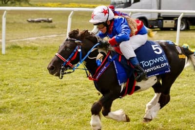 Ponnygalopp 