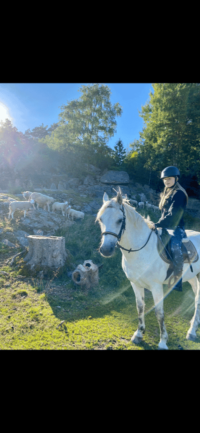 Inlägg 110 av Allround med titeln 🫶