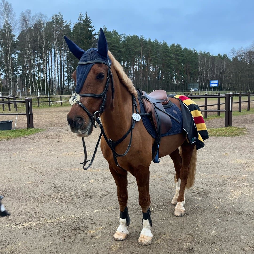 Bild 1 av Gwendraeth The Admiral