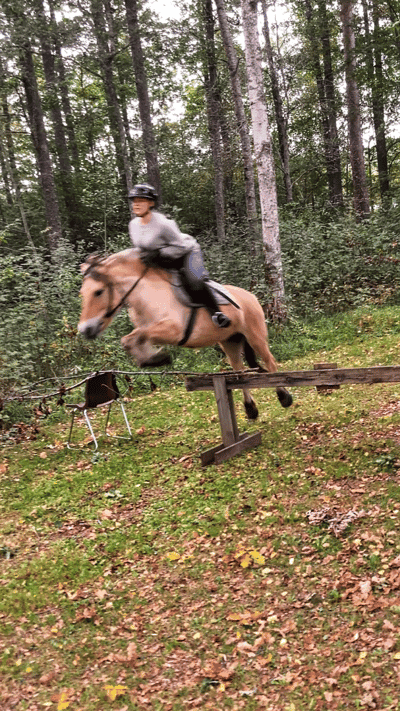 Inlägg 3 av Allround