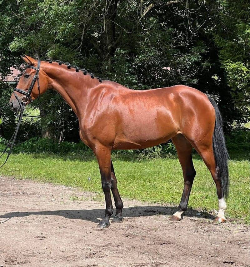 Bild 2 av Sto, 164 cm