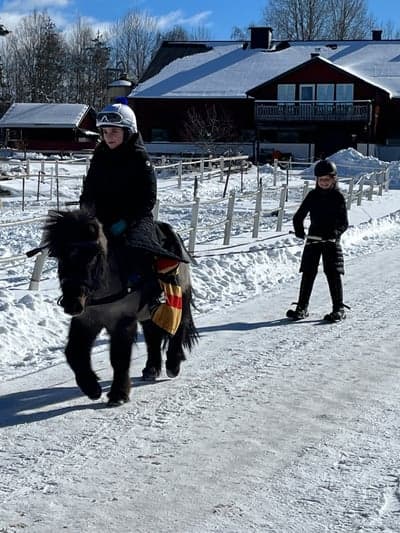 Inlägg 39 av Galopp med titeln Vilken härlig dag ☀️