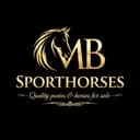 M.B Sporthorses
