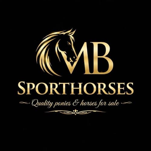 Profilbild av M.B Sporthorses