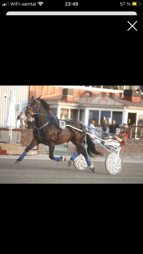 Media 1 av Min Lilla Dajm