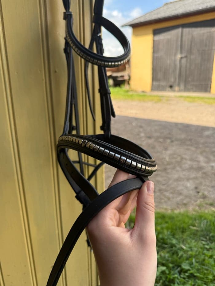 Media 2 of Svart träns med klinker