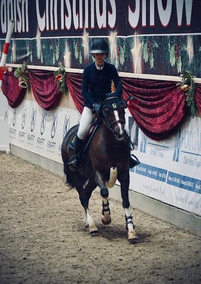 Post 5 of Selle Français