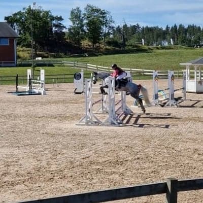 Inlägg 98 av Allround med titeln Tävlar i hoppning