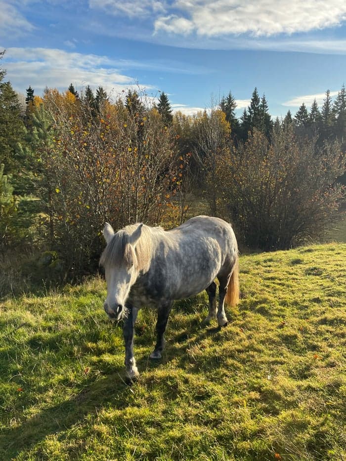 Media 1 av Key of Crystal