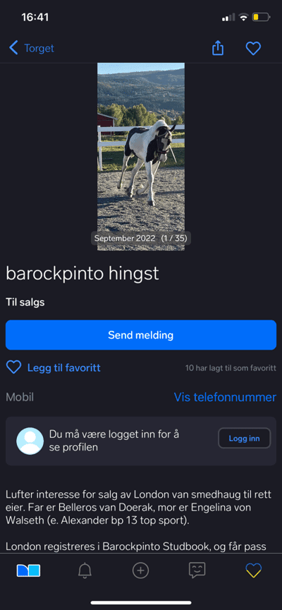 Post 7 of Friesian Horse