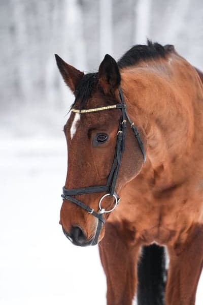 Inlägg 135 av Allround med titeln Fina fair play 
